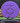 MVP Anode Electron Firm purple 172.8g