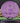 MVP Anode Neutron Neutron Dayglow 168.7g