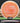 MVP Control Neutron Burnt Orange 169.1g