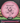 MVP Deflector Proton pink 176.2g