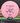 MVP Entropy Pink/Black 173g