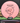 MVP Ion pink 157.8g