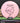 MVP Ion pink 158.3g