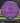 MVP Motion Neutron purple 169.8g