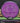 MVP Motion Neutron purple 175g