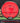 MVP Motion Neutron red 160g