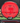MVP Motion Neutron red 173.4g