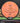 MVP Photon Cosmic Neutron Salmon 167.6g