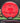 MVP Relativity Neutron red 176.2g