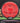 MVP Relativity Neutron red 176.3g
