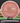 MVP Servo Cosmic Neutron Salmon 164g