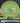 MVP Watt Cosmic Neutron Lime 173.1g