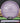 MVP Watt Proton Purple/Silver 175g