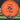 MVP Proton Atom
