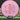 MVP Neutron Matrix
