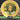MVP Cosmic Neutron Ohm – 2025 Halloween Special Edition