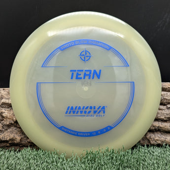 Innova Tern