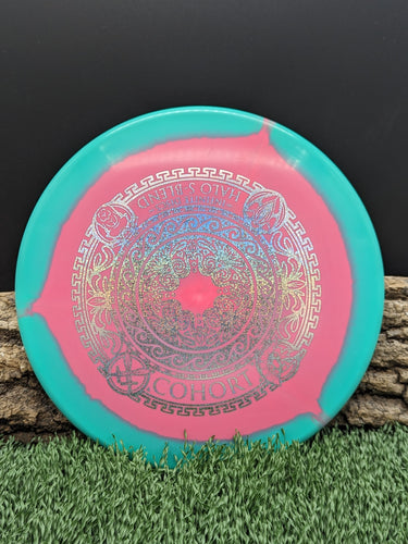 Infinite Discs Cohort
