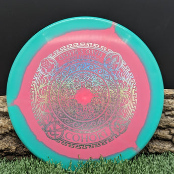 Infinite Discs Cohort