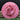 Discmania Last Howl