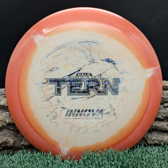 Innova Tern - New Proto Glow Available!