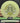 Streamline Pilot Light Yellow/Olive 171.4g