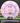 Streamline Runway Neutron Pink-Purple/Black 165g