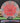 Thought Space Athletics Praxis Nerve Cotton Candy Swirl/Red 174g