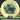 Thought Space Athletics Glow Praxis