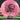 Thought Space Athletics Parallel Requiem