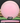 Trash Panda Inner Core Pink
